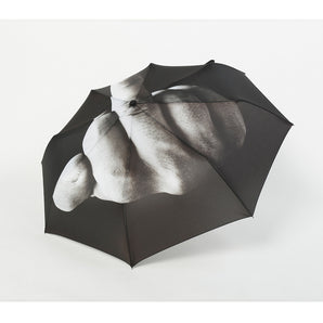 Mittelfinger Regenschirm